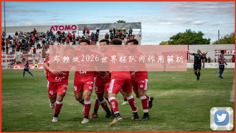 布赖坎2026世界杯队内作用解析