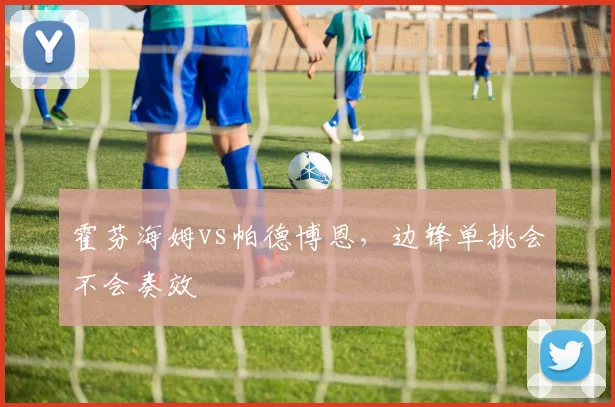 霍芬海姆vs帕德博恩，边锋单挑会不会奏效