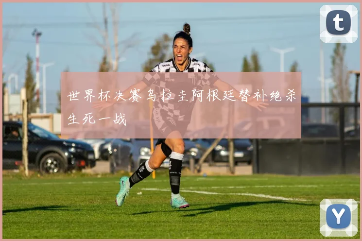 世界杯决赛乌拉圭阿根廷替补绝杀生死一战