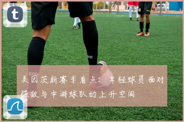 美因茨新赛季看点：年轻球员面对强敌与中游球队的上升空间