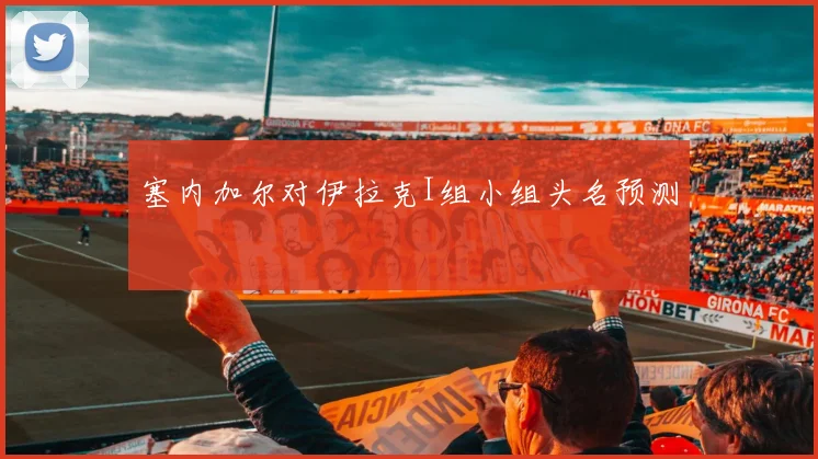 塞内加尔对伊拉克I组小组头名预测
